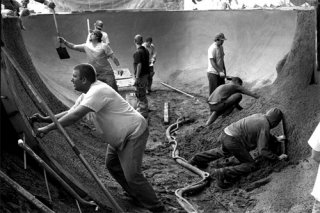 hard_work_harris